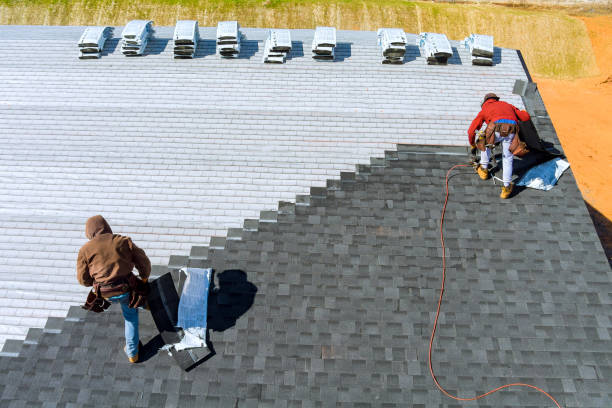 Quick and Trustworthy Emergency Roof Repair Services in Jan Phyl Village, FL