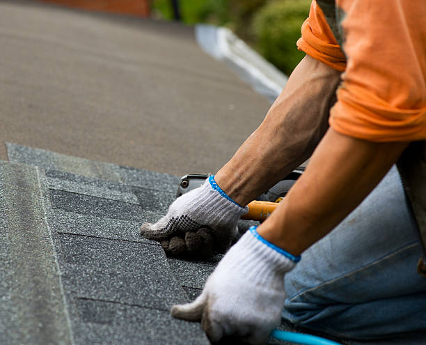 Best Metal Roofing Contractor  in Jan Phyl Village, FL